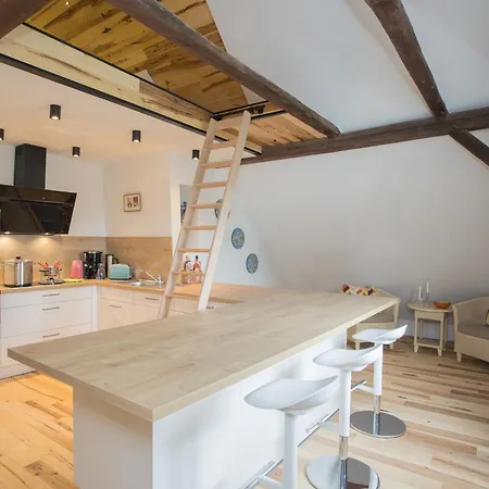 Denkmal Haus Hugo Loft شقة ميدهباخ