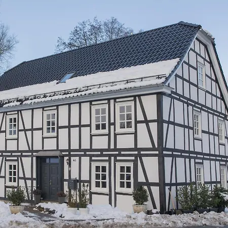 Apartment Denkmal Haus Hugo Loft *